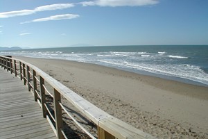 spiaggia conchiglia