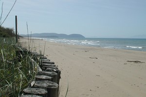 spiaggia rimigliano